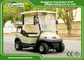 2 Seater 48v Trojan Battery Electric Golf Cart / Mini Golf Buggy