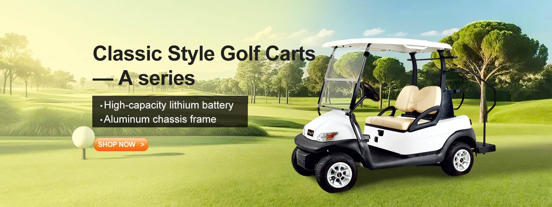 Kalite Elektrikli Golf Arabaları fabrika