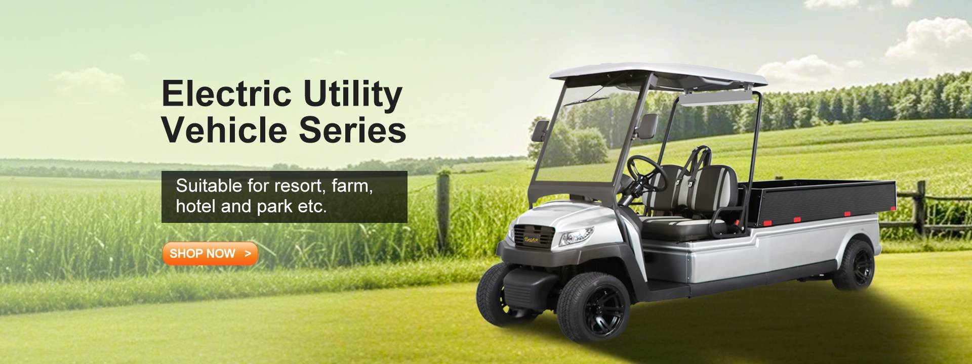 Kalite Elektrikli Golf Arabaları fabrika
