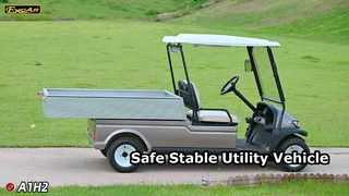 A1H2 Şampanya Altın Bu elektrikli çok amaçlı ticari araç, uzun süre boyunca güvenlik ve denge sunar.