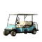 CE Approved Custom Color Golf Car with 48V 3.7kw Curtis Controller Chinese Factory