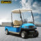 EXCAR Aluminium Blue Electric Utility Carts Electric Food Cart With Trojan Batteries with Customized Cargo Bed