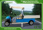 5kw Hotel Electric Golf Cart 350A USA Curties , Mini Electric Truck